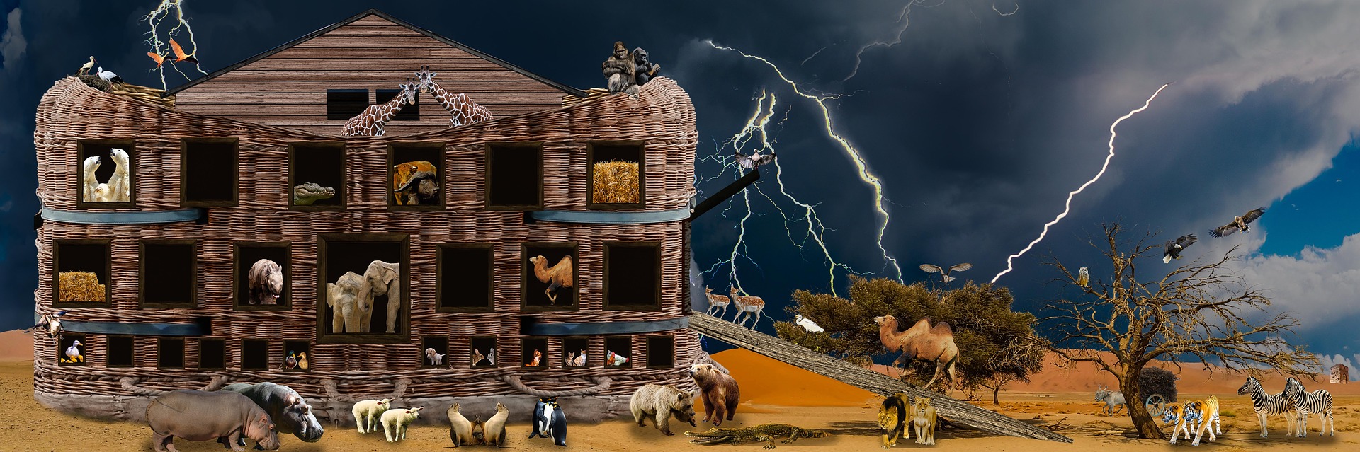 Arche Noah