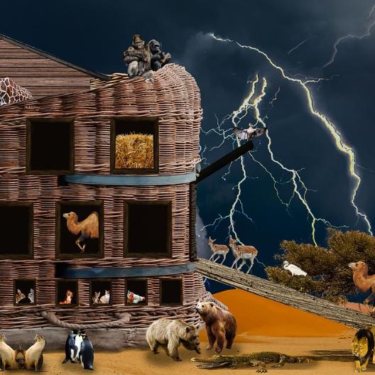 Arche Noah