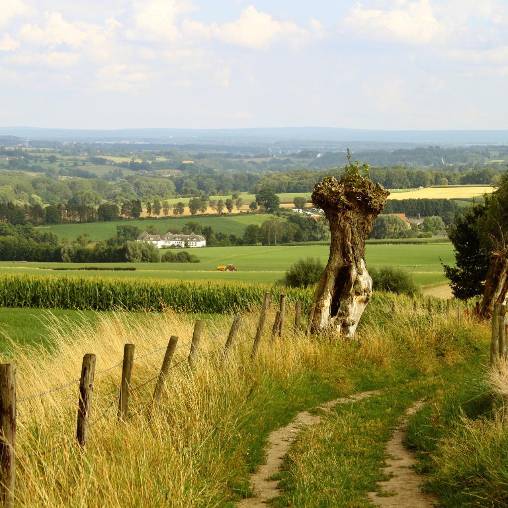 Landschaft