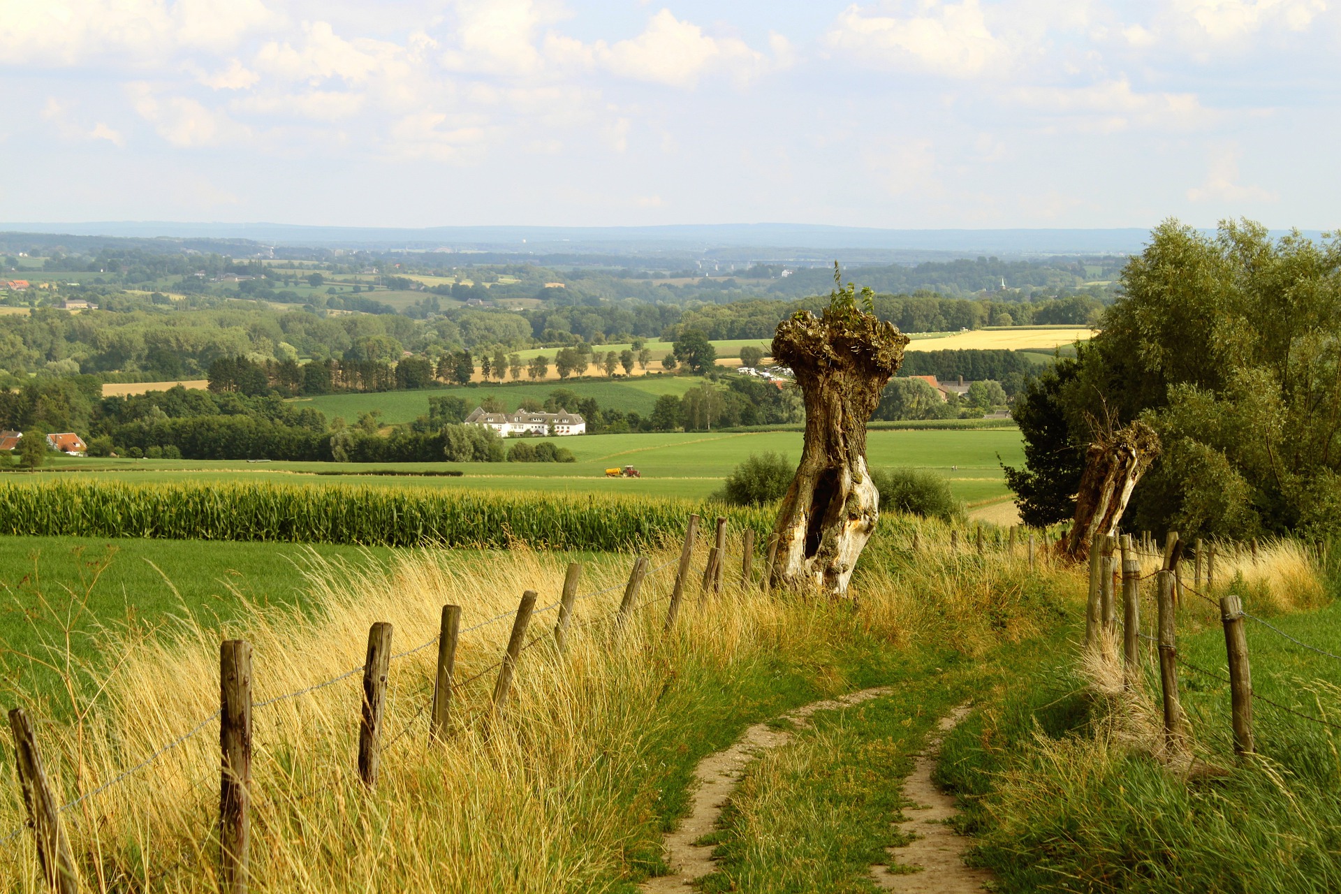 Landschaft