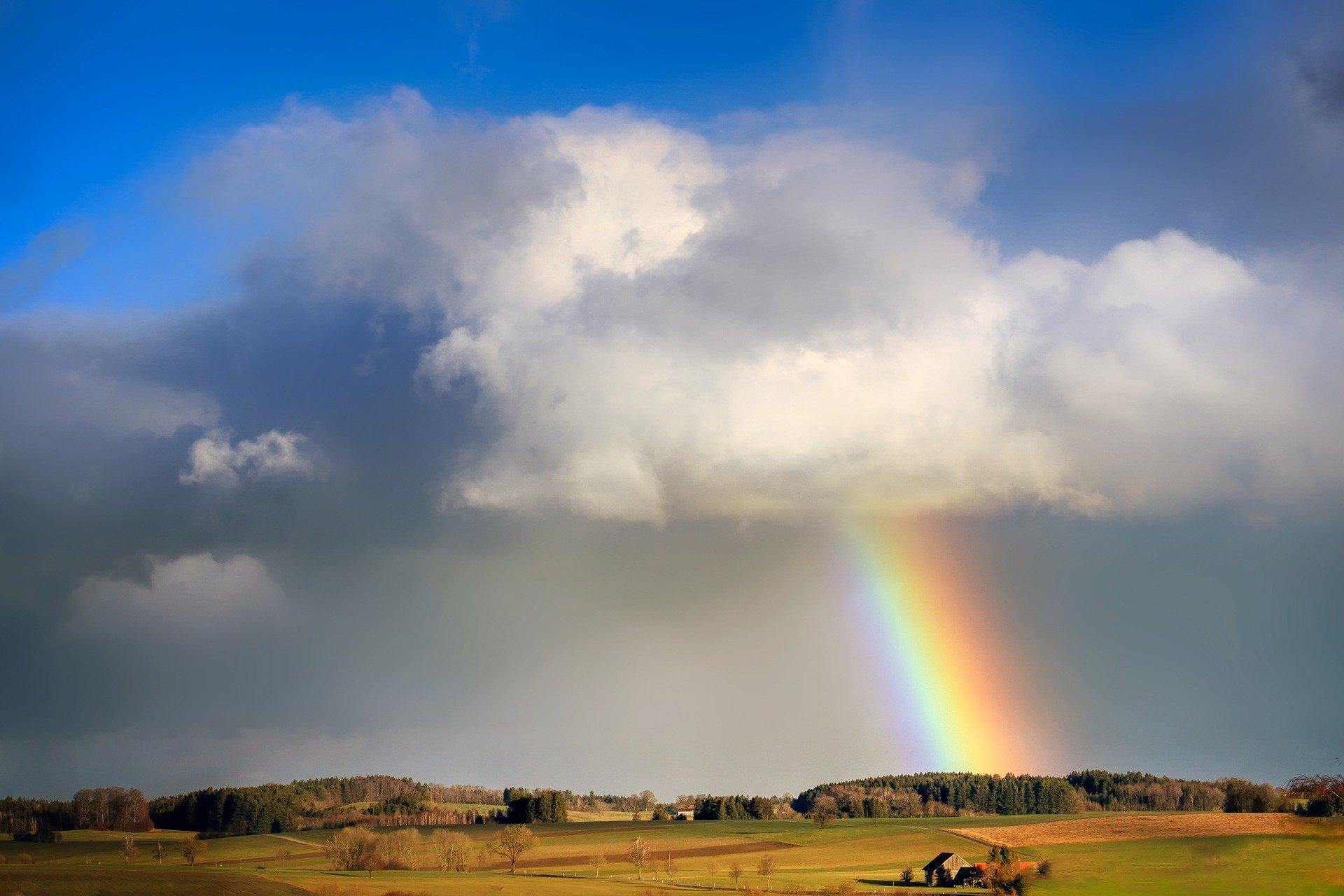 Regenbogen