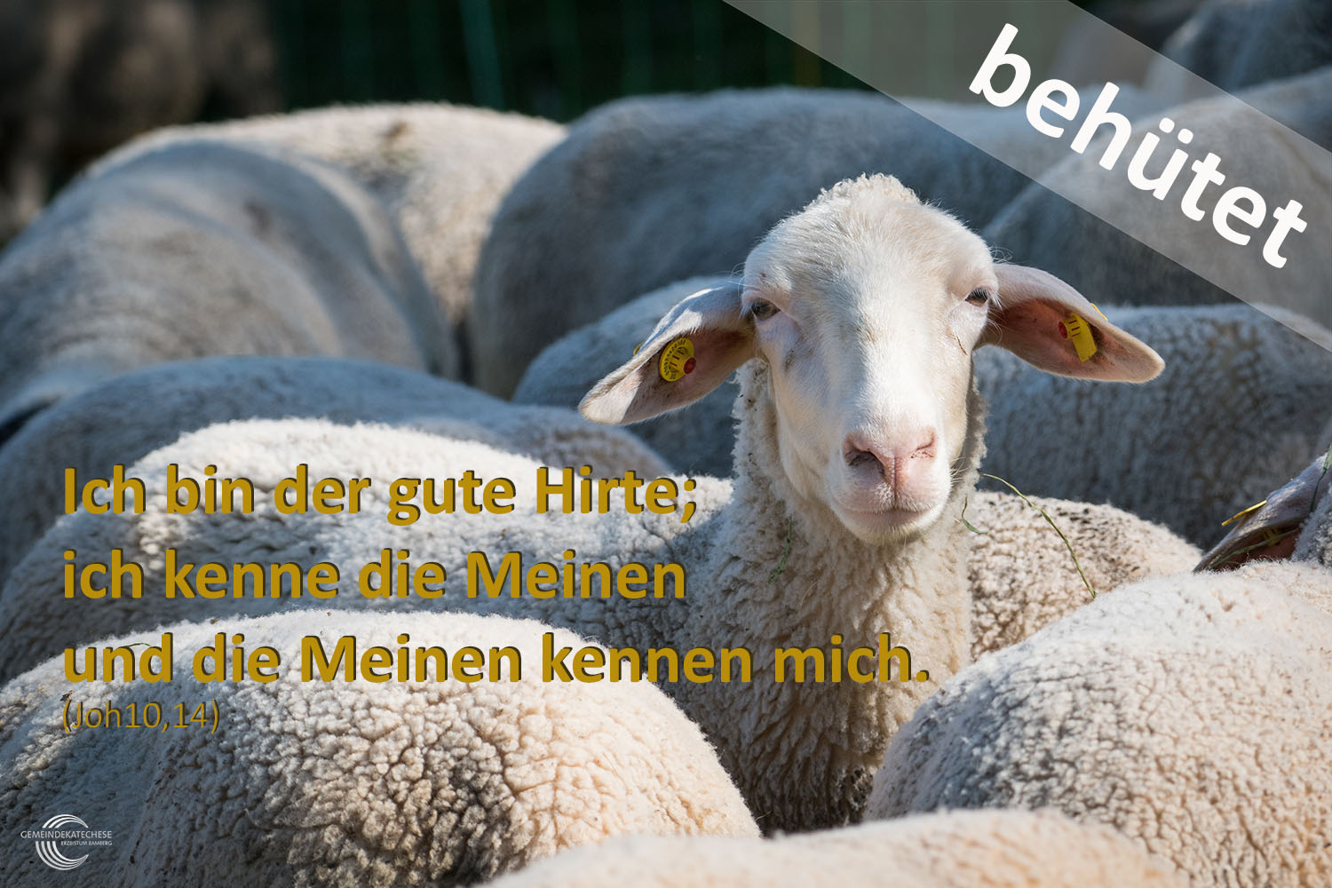 behütet - Mutmachbotschaft