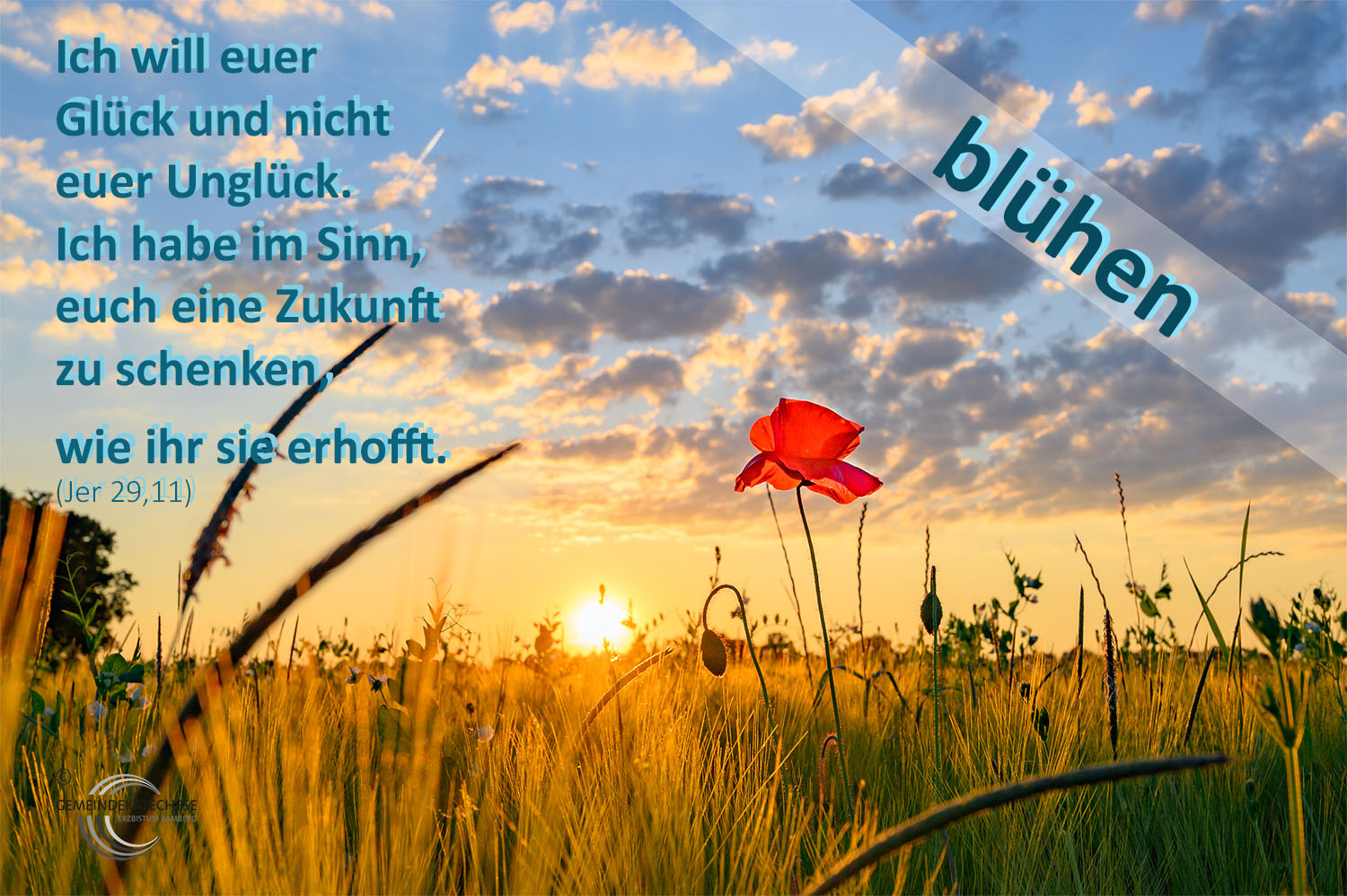 blühen - Mutmachbotschaft