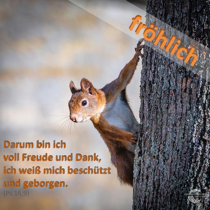 fröhlich - Mutmachbotschaft