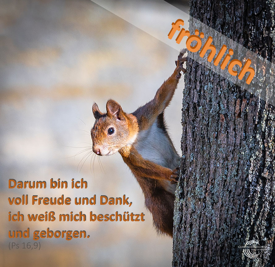 fröhlich - Mutmachbotschaft