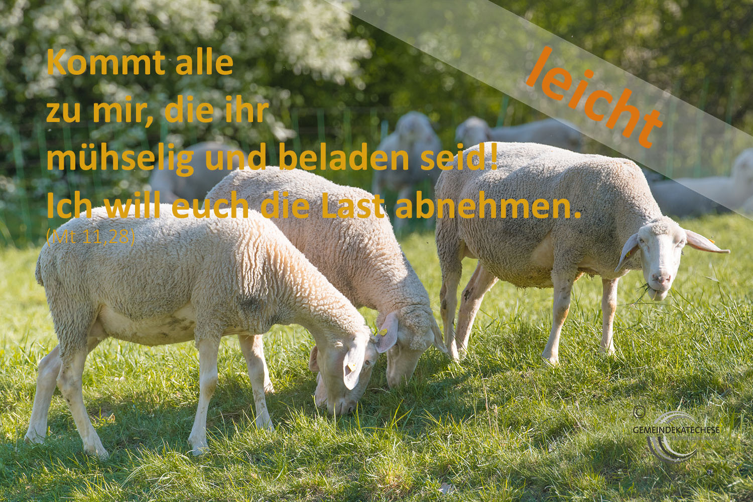 leicht - Mutmachbotschaft