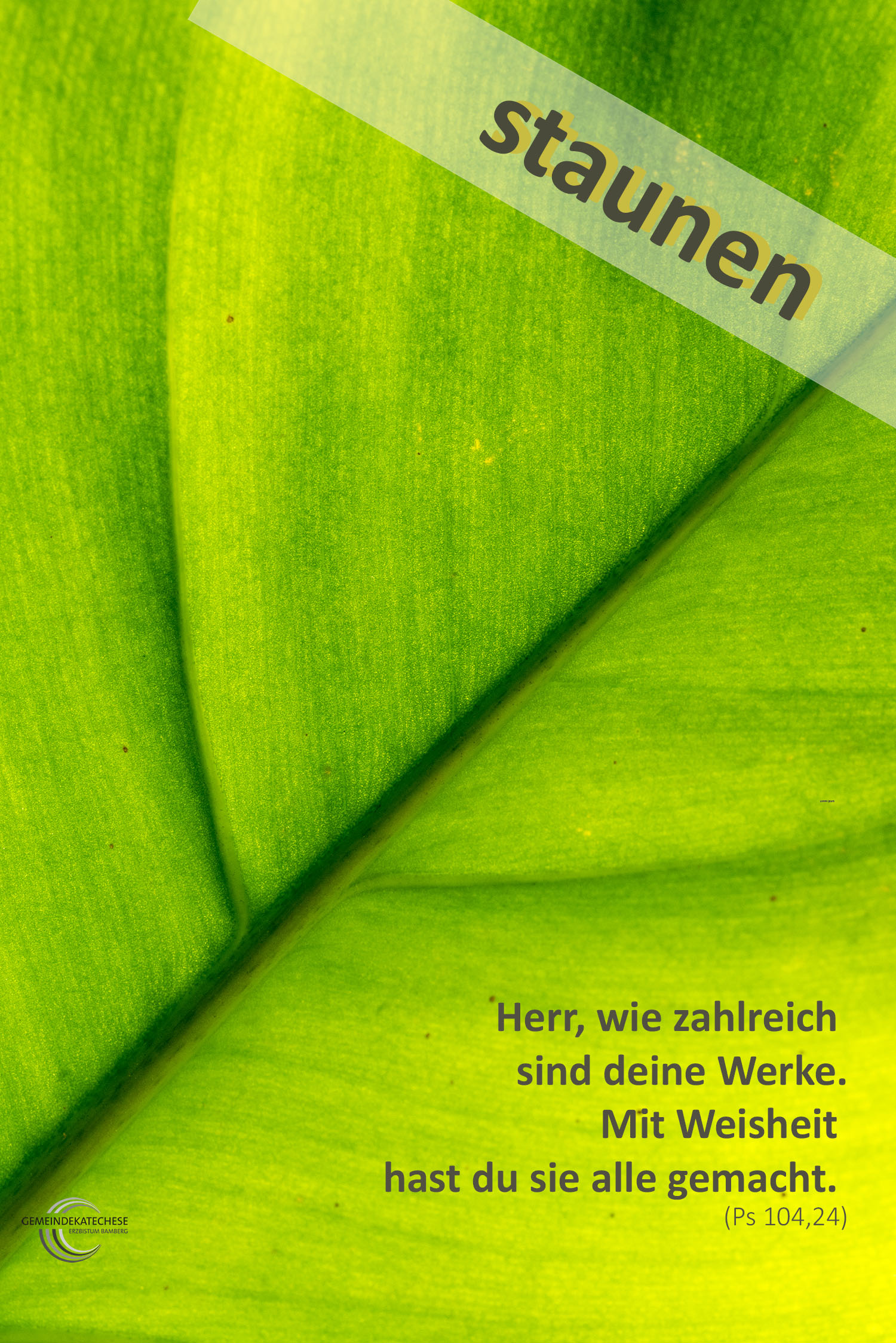 staunen - Mutmachbotschaft